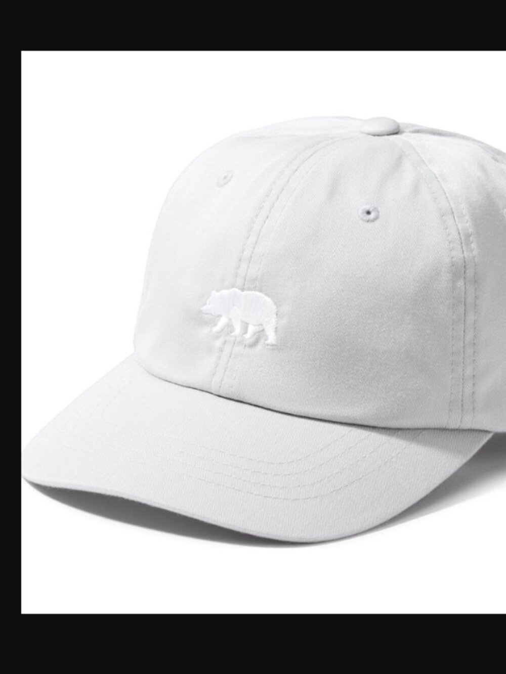 NWT The North Face Bear Logo Hat